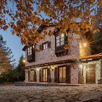 Parnassus Woodstone Chalets- N1- N2- N3 Ano Polidhrosos