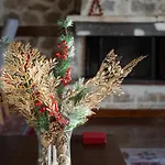 Parnassus Woodstone Chalets- N1- N2- N3 Ano Polidhrosos