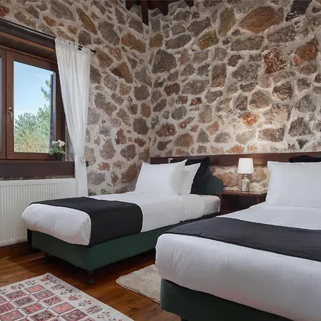 Σαλέ Parnassus Woodstone Chalets- N1- N2- N3 *