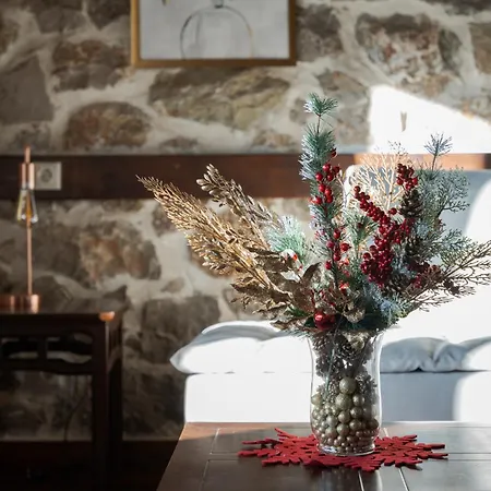 Parnassus Woodstone Chalets- N1- N2- N3 Chalet Ano Polidhrosos