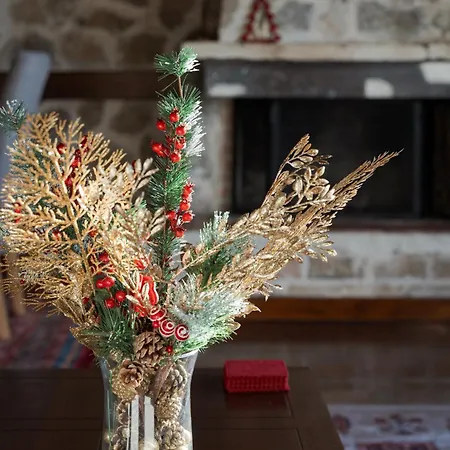 Parnassus Woodstone Chalets- N1- N2- N3 Άνω Πολύδροσος